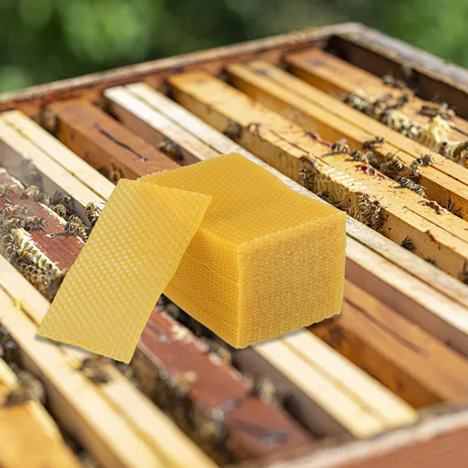 Beeswax Sheet Roll - 30 Fogli di Cera d'Api Naturale