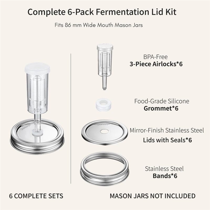 Coperchi per fermentazione DTE - Mason Jar 8Oz recensione e prezzo